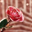 Pink Champagne Rose Gold Dipped Rose on Sale