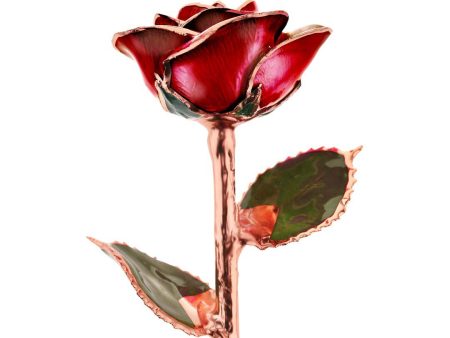 Valentine s Day Red Rose Gold Dipped Rose Online Sale