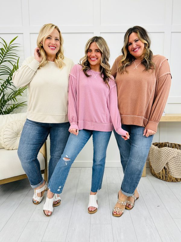 REG CURVY Simple Charm Long Sleeve Top- Multiple Colors! For Discount