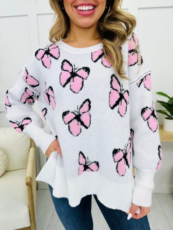 REG CURVY Whimsical Wings Sweater Fashion