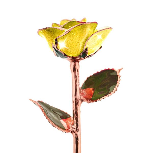 Sunshine Yellow Rose Gold Dipped Rose Hot on Sale