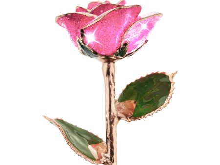 Pink Champagne Rose Gold Dipped Rose on Sale