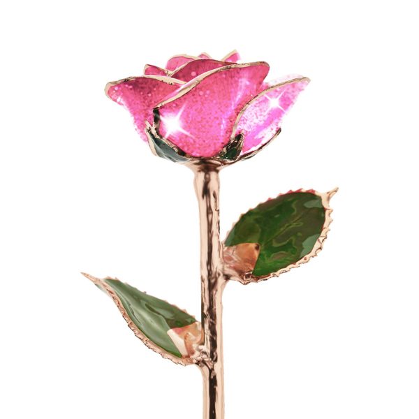 Pink Champagne Rose Gold Dipped Rose on Sale