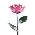 Platinum Princess Pink Rose Hot on Sale