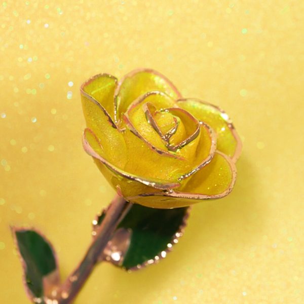 Sunshine Yellow Rose Gold Dipped Rose Hot on Sale