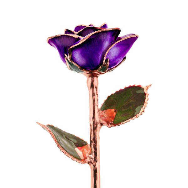 Purple Passion Rose Gold Dipped Rose For Sale