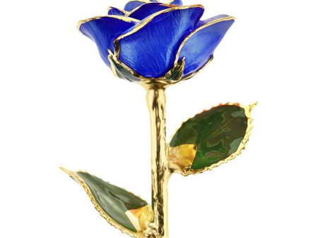 Royal Sapphire 24kt Gold Dipped Rose Sale