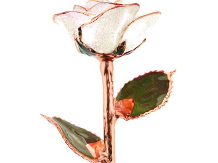 Frozen Rose Gold Dipped Rose Hot on Sale