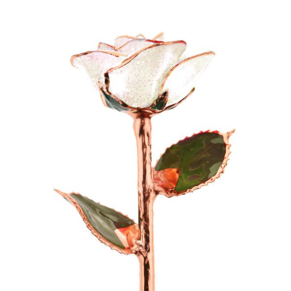 Frozen Rose Gold Dipped Rose Hot on Sale