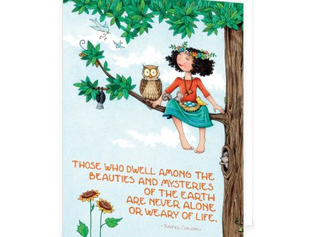 Beauties and Mysteries Card Fashion