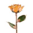 Creamsicle Rose Gold Dipped Rose Online now