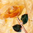 Creamsicle Rose Gold Dipped Rose Online now